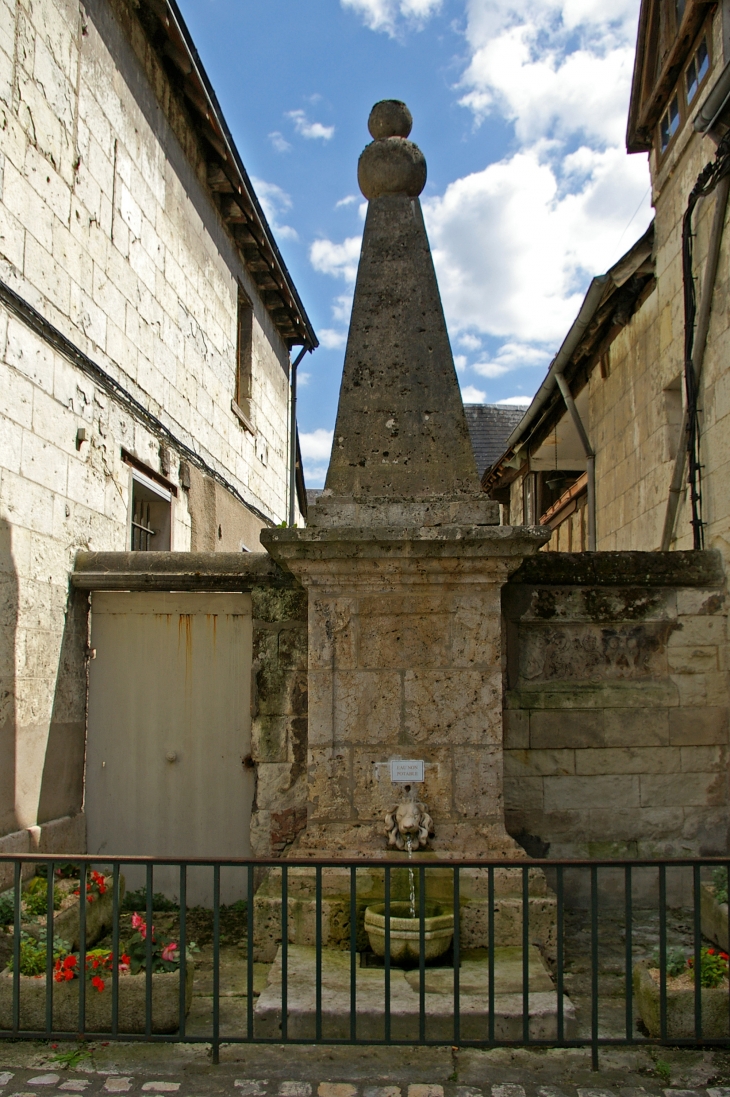 Fontaine Saint-Cellerin. Montrichard 