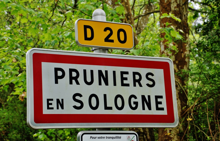  - Pruniers-en-Sologne