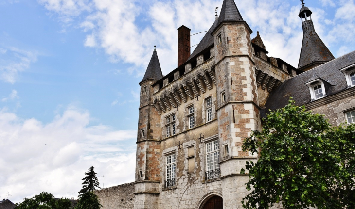 Le Château - Talcy