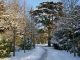 Photo suivante de Thésée Le parc de la mairie sous la neige.