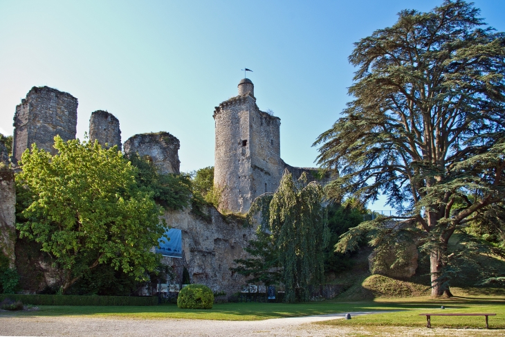 Les ruines du château médiéval (XIIe et le XVe siècle) construit par la famille Bourbon-Vendôme.