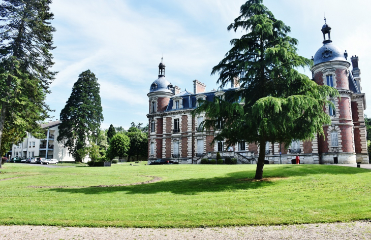 Le Château ( Parc ) - Briare