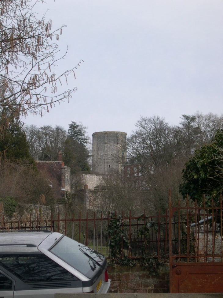 Le Donjon - Châtillon-Coligny