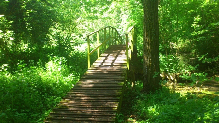 Pont presque exotique Les Mauves G.K - Meung-sur-Loire