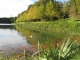 Etang de Pithiviers le Vieil