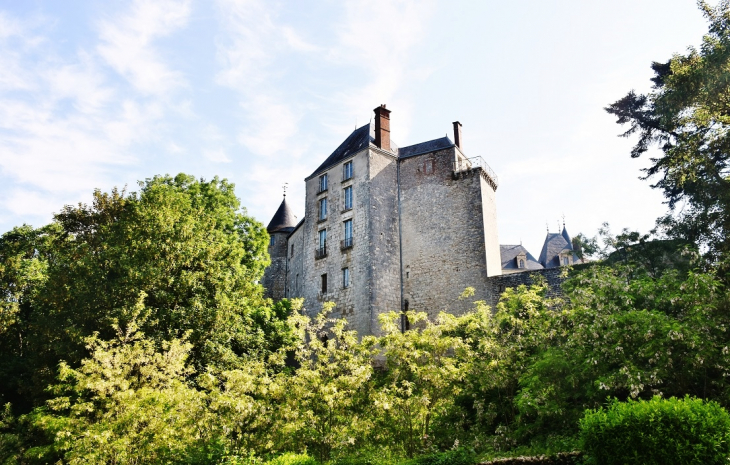 Le Château - Saint-Brisson-sur-Loire