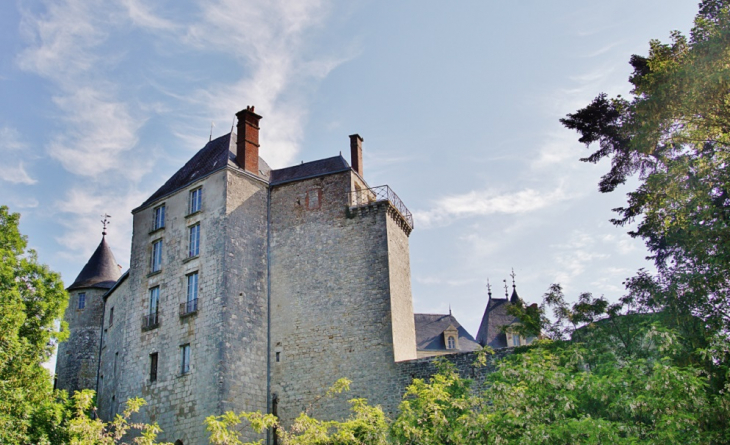 Le Château - Saint-Brisson-sur-Loire