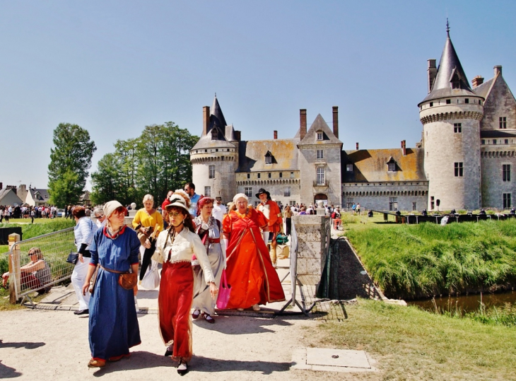  Château-de-Sully ( animation dans le parc ) - Sully-sur-Loire