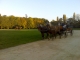 Photo précédente de Sully-sur-Loire Promenades dans le parc du Chateau