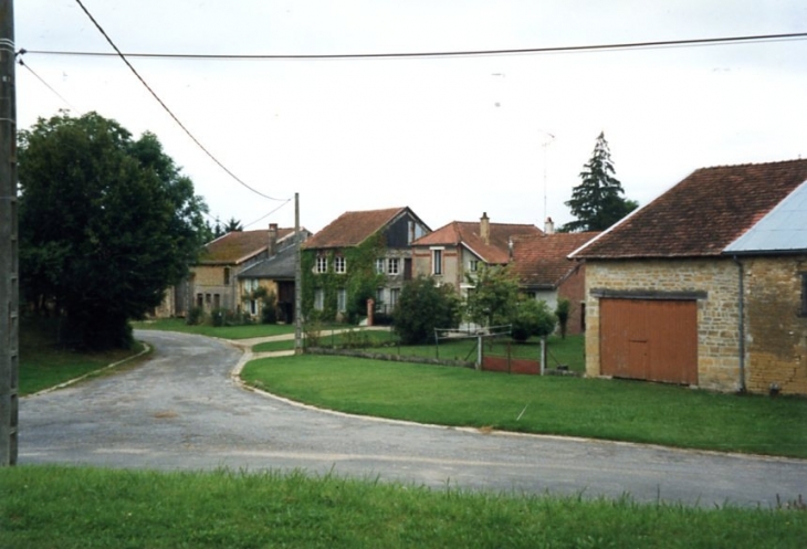 Rue Barrée - Autruche