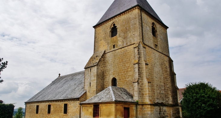 ::église Saint-Remy - Cheveuges