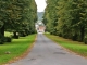 Allée menant au Château