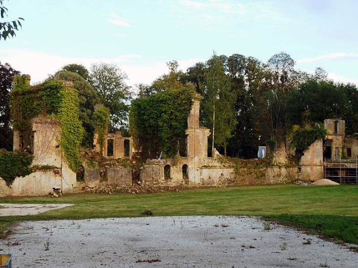 Les ruines du château de la Cassine - Vendresse