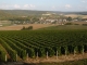 Photo suivante de Mussy-sur-Seine Mussy et son vignoble