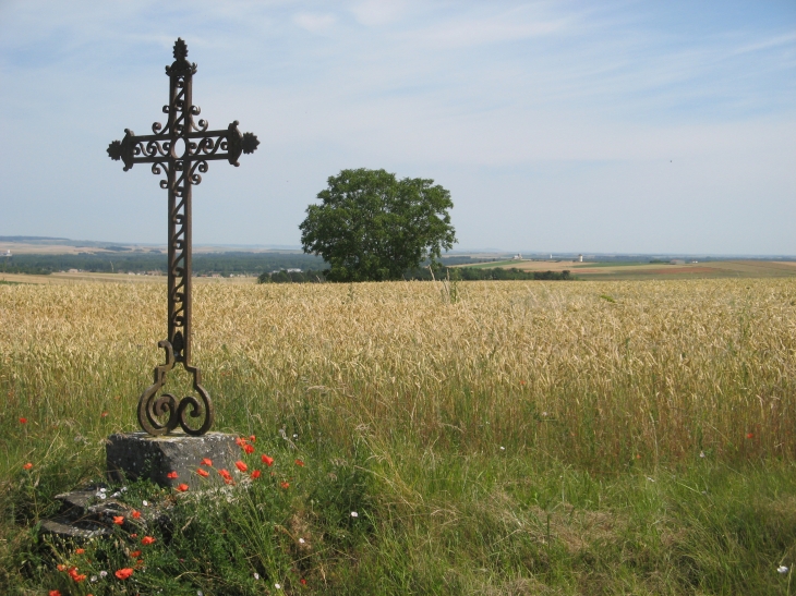 Près de Pommereau, la croix métallique  et en arrière plan Longueperte-St Hilaire, sur la D138 lieu dit  - Saint-Hilaire-sous-Romilly
