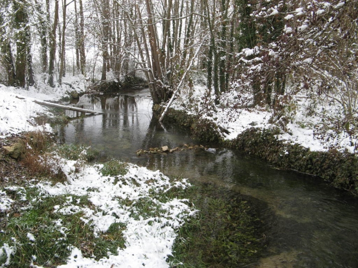 Rivière l'Ardusson route de Faye à St Loup de Buffigny - Saint-Loup-de-Buffigny