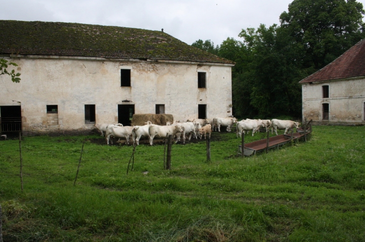 La Crête, abbaye - Bourdons-sur-Rognon
