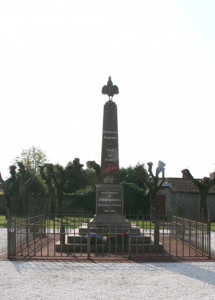 Monument aux morts - Breuvannes-en-Bassigny