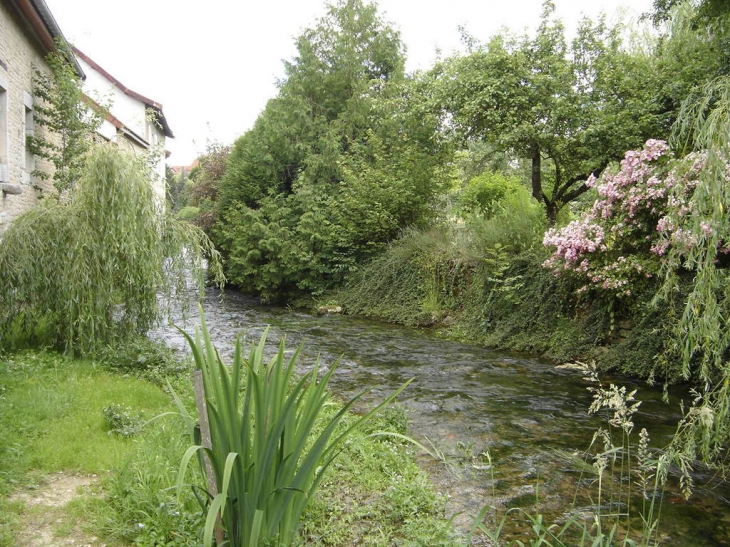 Les Bords de l'Aujon - Châteauvillain