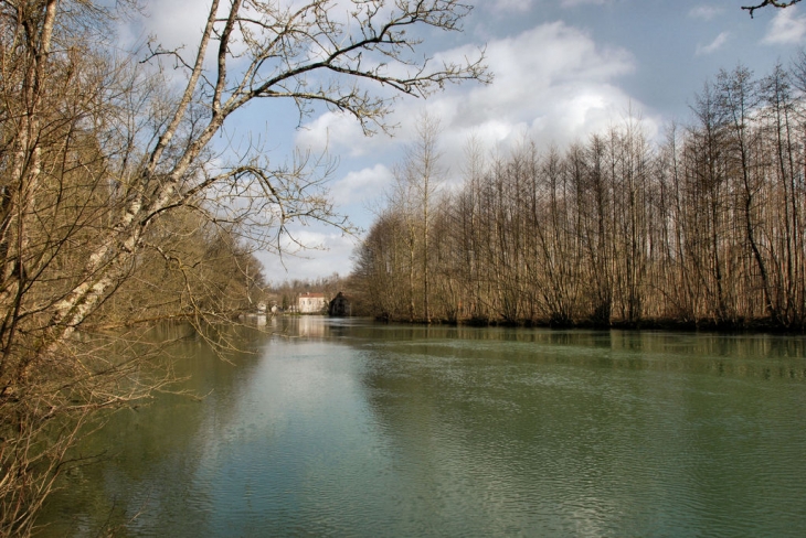 Les rives de la rivière Marne :pêche, faune, flore exeptionnelles - Eurville-Bienville