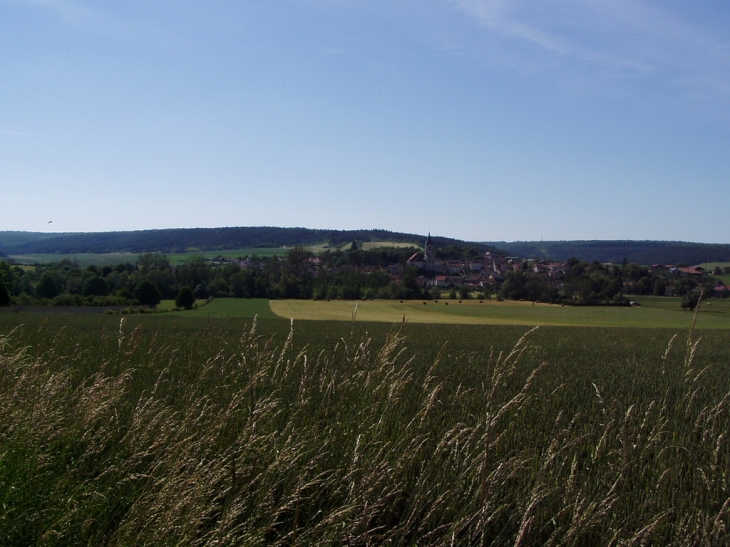 Village vue de la rivière - Laferté-sur-Aube