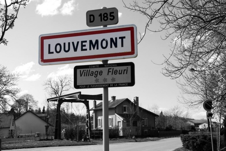 Une entrée de ce beau village Haut-Marnais - Louvemont