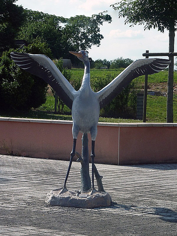 La grue oiseau emblématique du lac du Der - Planrupt