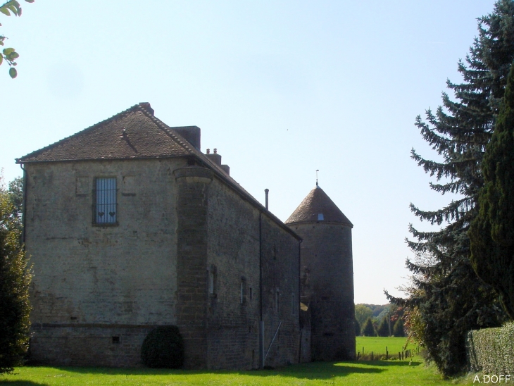 Chateau - Pressigny