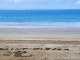 Photo suivante de Saint-Dizier Sur une plage Normande . Les enfants de l'école Diderot en rendu hommage à notre ville Bragarde