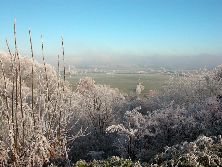 Vue du Bassigny par un jour d'hiver - Val-de-Meuse