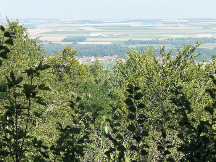 Vue sur le village de l'observatoire du Mont SinaÏ à Verzy - Beaumont-sur-Vesle