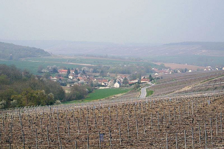 Le village vu du vignoble - Belval-sous-Châtillon