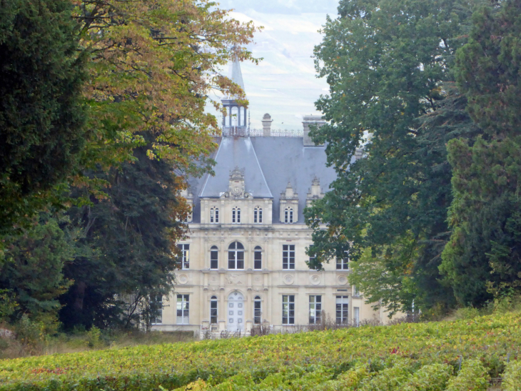 Le château de la veuve Clicquot - Boursault