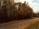 Photo suivante de Giffaumont-Champaubert L'automne sur la route du lac