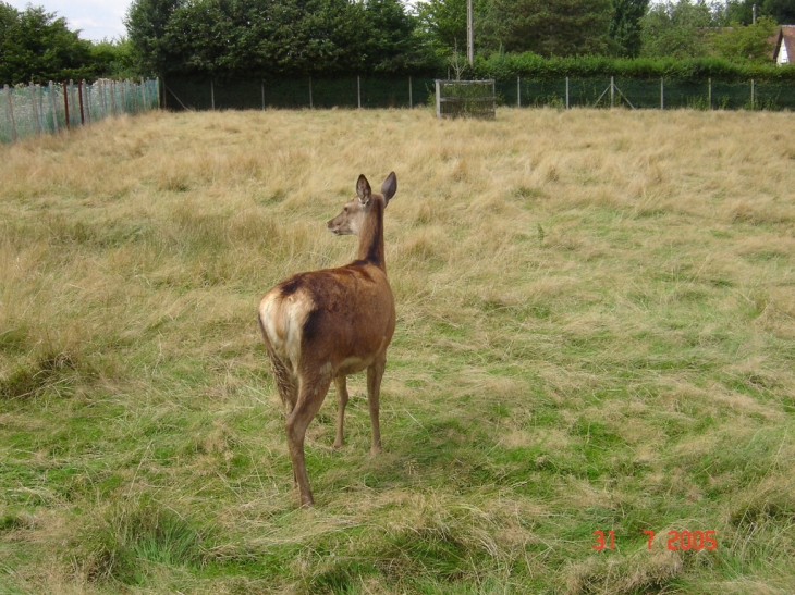 Photo à La Noue (51310) La Noue, 57362