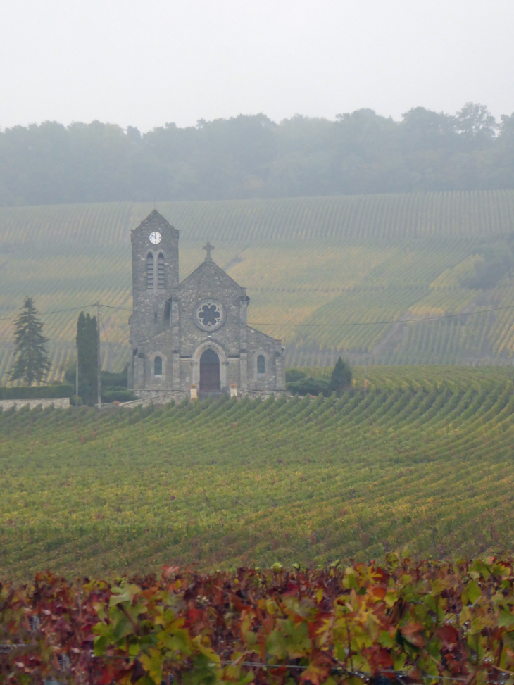 Vue sur l'église au dessus des vignes en automne - Leuvrigny