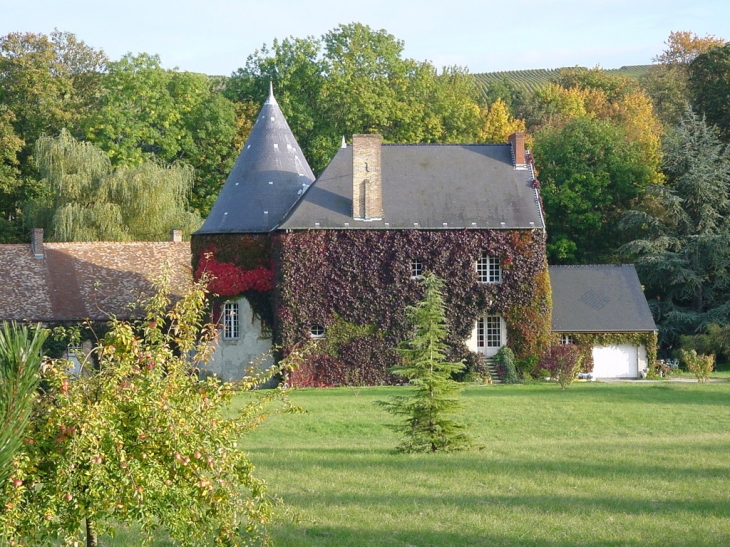 Chateau de Mancy