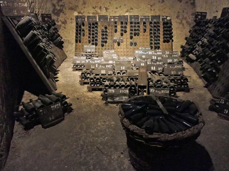 Cave de champagne Pommery : l'oenothèque - Reims