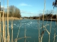 Sermaize les Bains - Le canal gelé au niveau de l'ancien port à bois. By Jtkfr