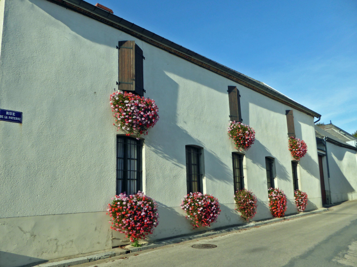 Rue de la Potrene - Vertus