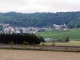 vue sur le village et la forêt plantée de 