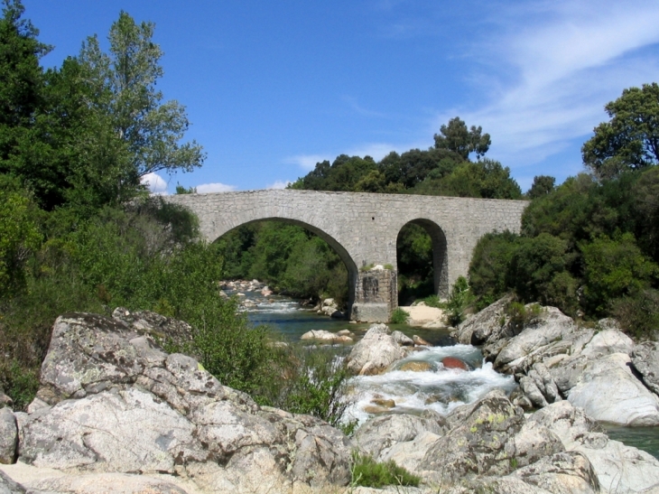 Le pont sur la Gravona - Carbuccia