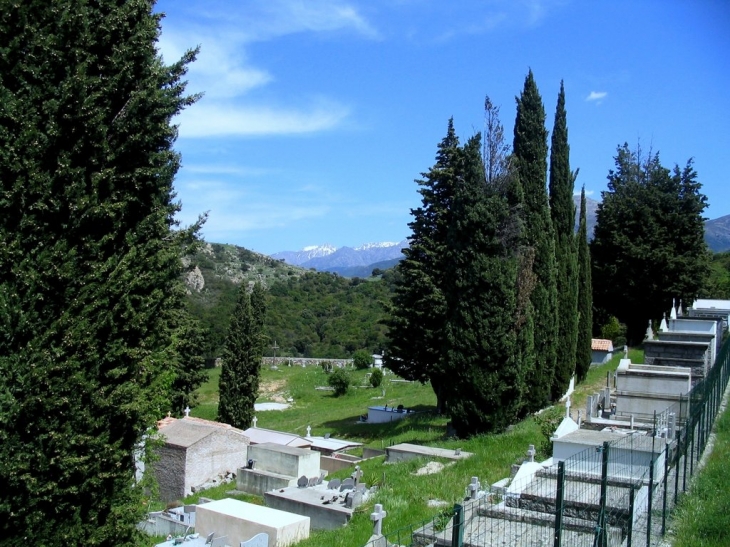 Le cimetière - Carbuccia