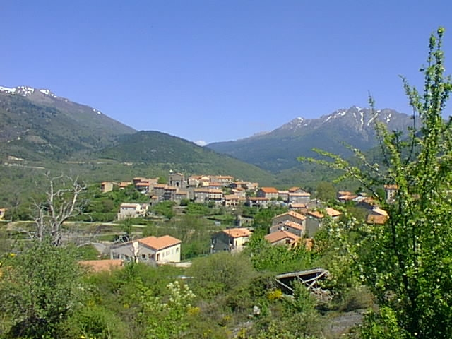 Vue panoramique du village - Cozzano