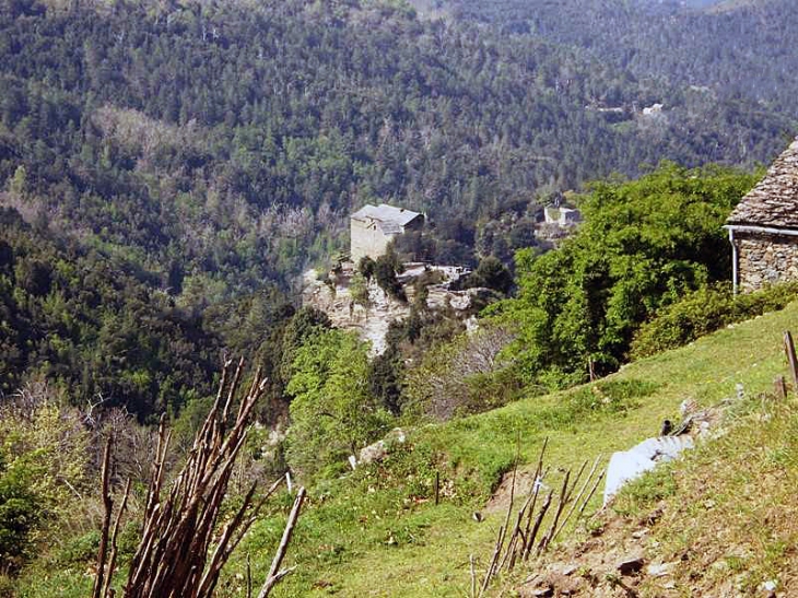 Village- dans la Castagniccia - Morosaglia