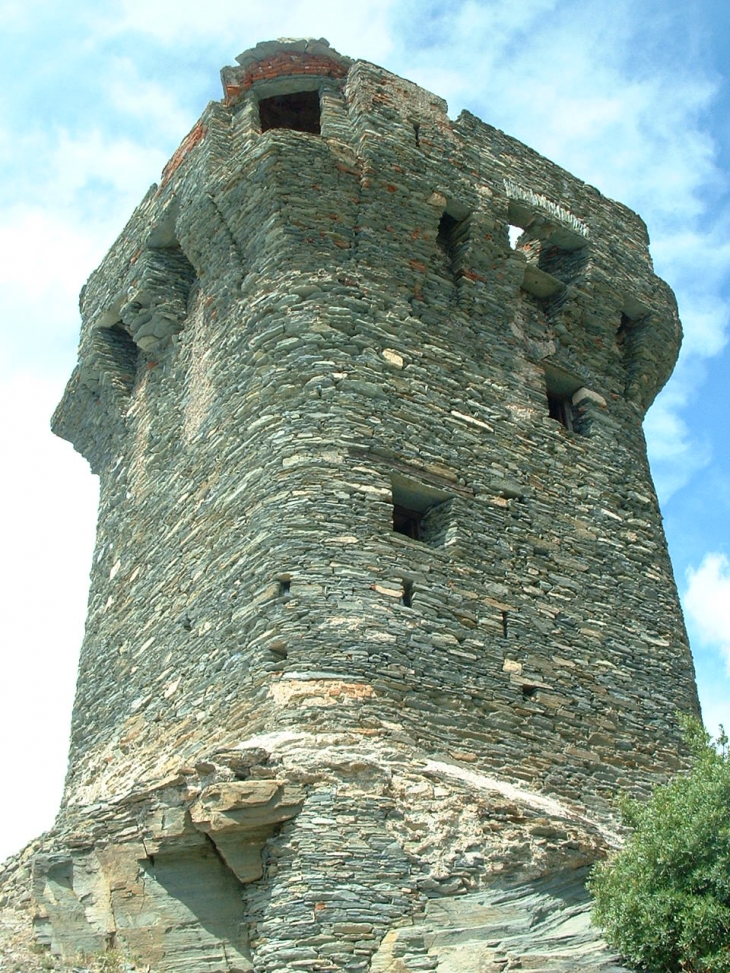 La tour génoise - Nonza