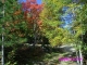 couleurs d'automne ''pinzelli'' prés de la source