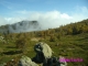Photo suivante de Poggio-di-Nazza Rochers sortis de terre au Plateau de ''Taoria''