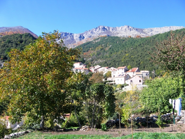 Le haut du village et le mont Cardo - Santo-Pietro-di-Venaco