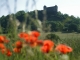 Photo suivante de Belvoir le château au printemps